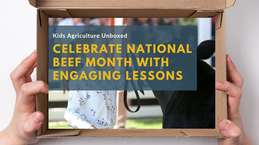 Celebrate National Beef Month: Hands-On Ways to Teach Kids About Cattle and Beef