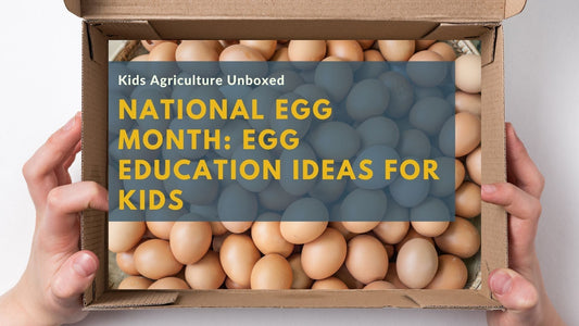 National Egg Month: Egg Education Ideas for Kids