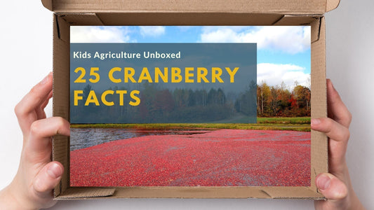 25 Cranberry Facts for Kids