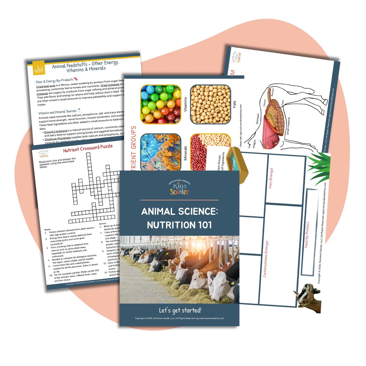 Animal Science: Animal Nutrition 101 (Printable PDF)