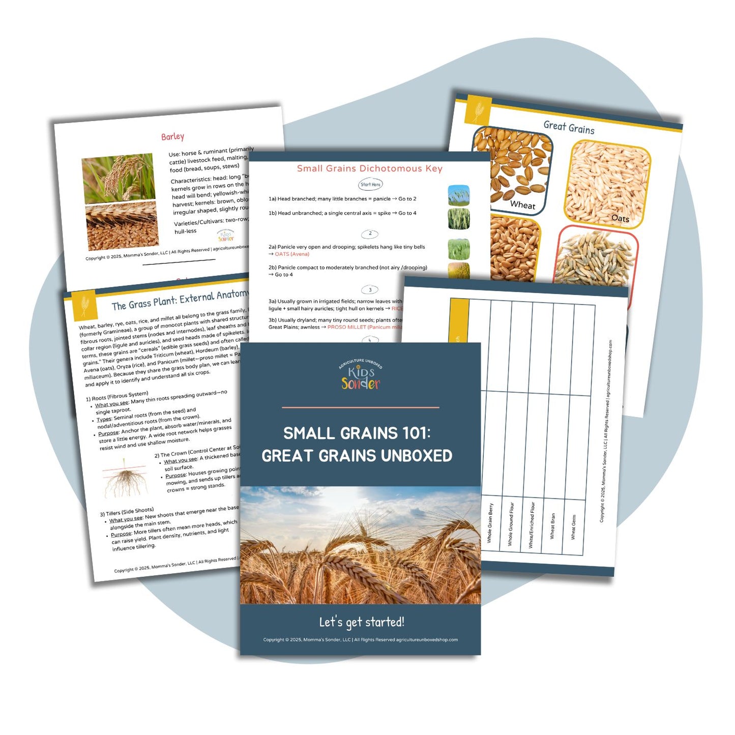 Small Grains 101: Great Grains Unboxed (Printable PDF)