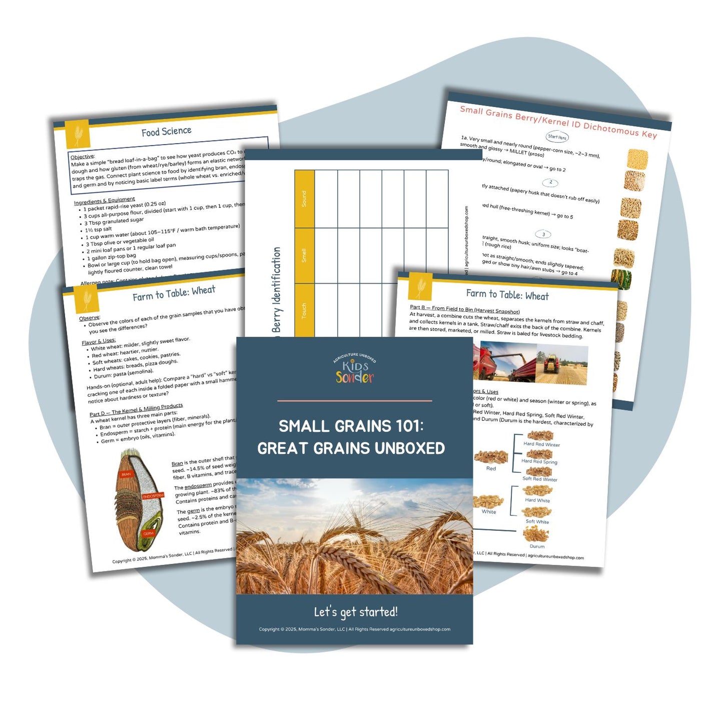 Small Grains 101: Great Grains Unboxed (Printable PDF)