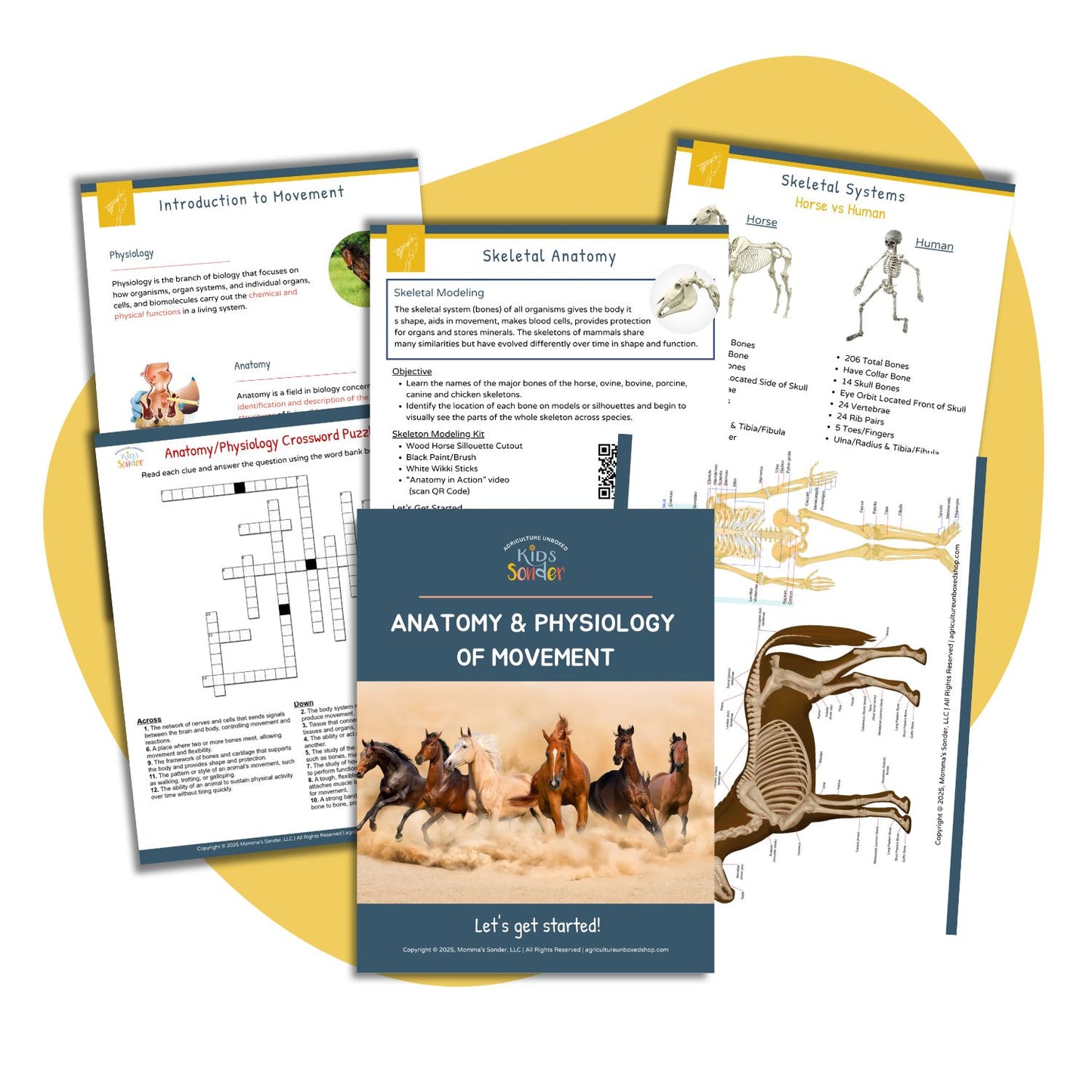 Animal Science: Anatomy & Physiology of Movement (Printable PDF)
