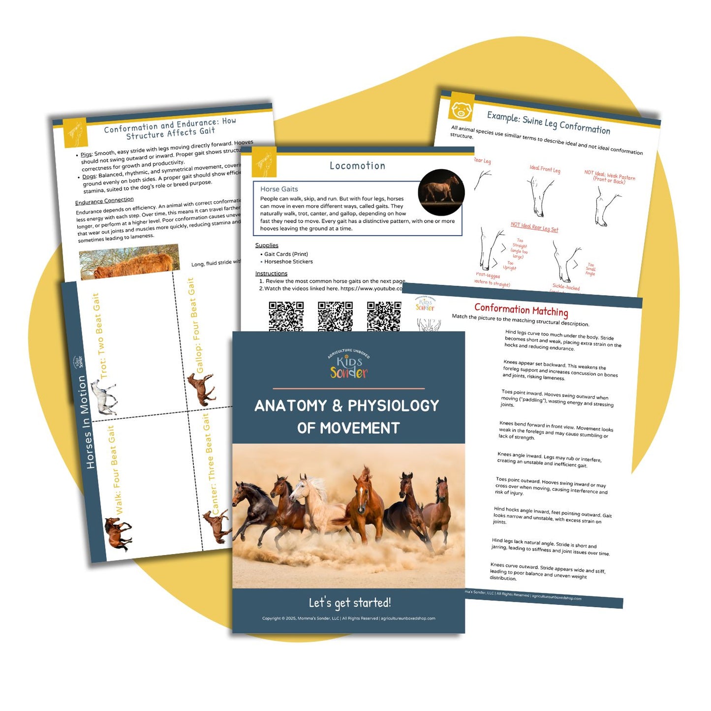 Animal Science: Anatomy & Physiology of Movement (Printable PDF)