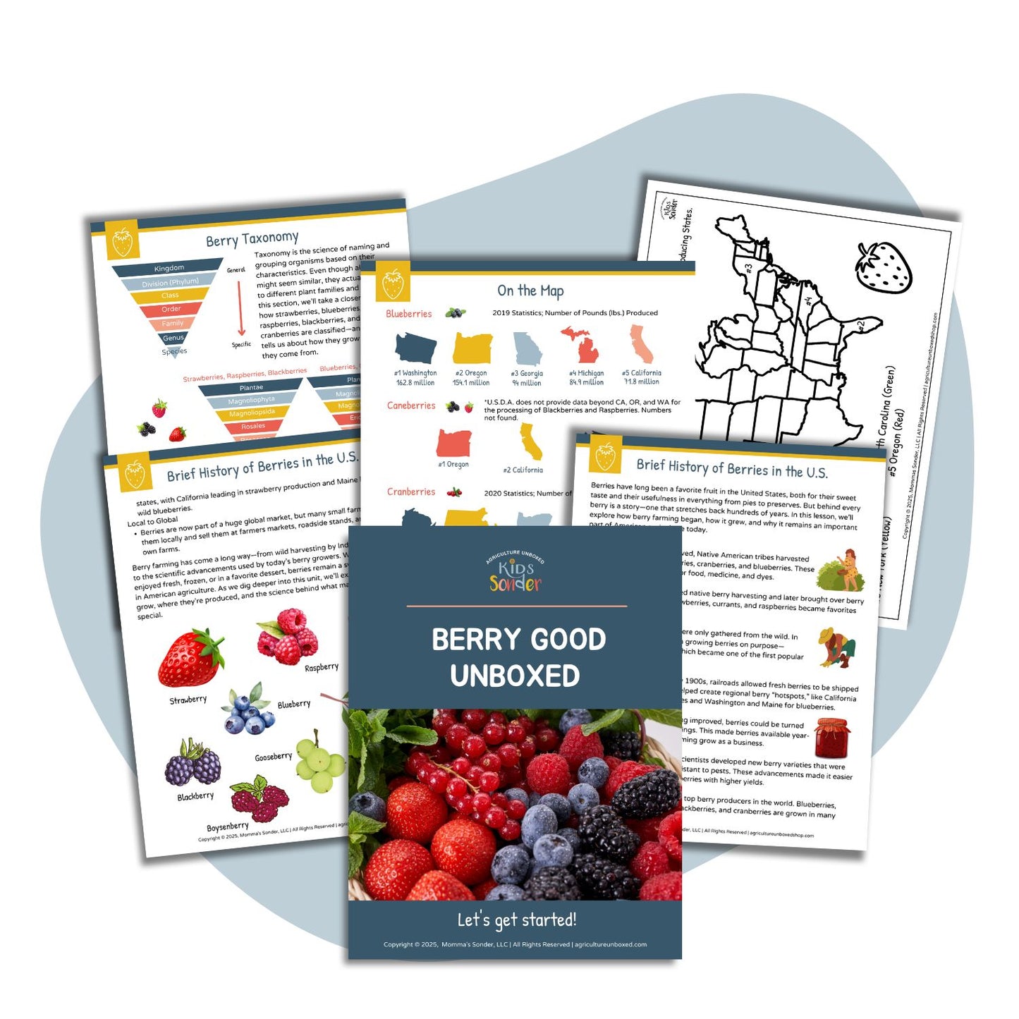 Plant Science: Berry Good Unboxed (Printable PDF)