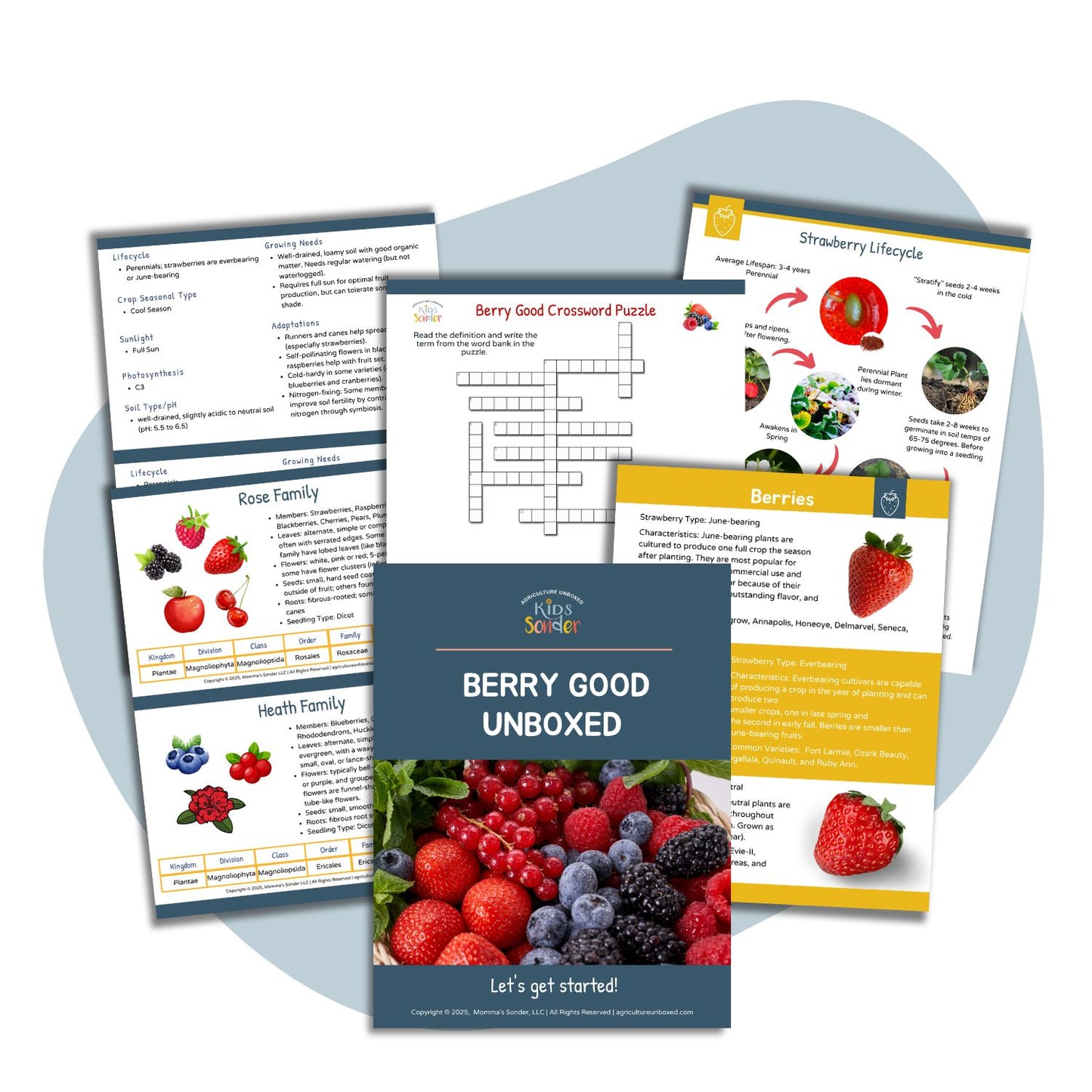 Plant Science: Berry Good Unboxed (Printable PDF)