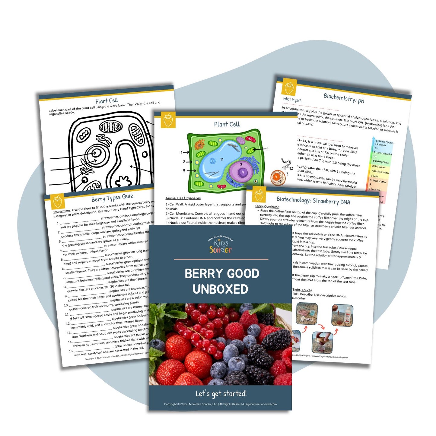 Plant Science: Berry Good Unboxed (Printable PDF)
