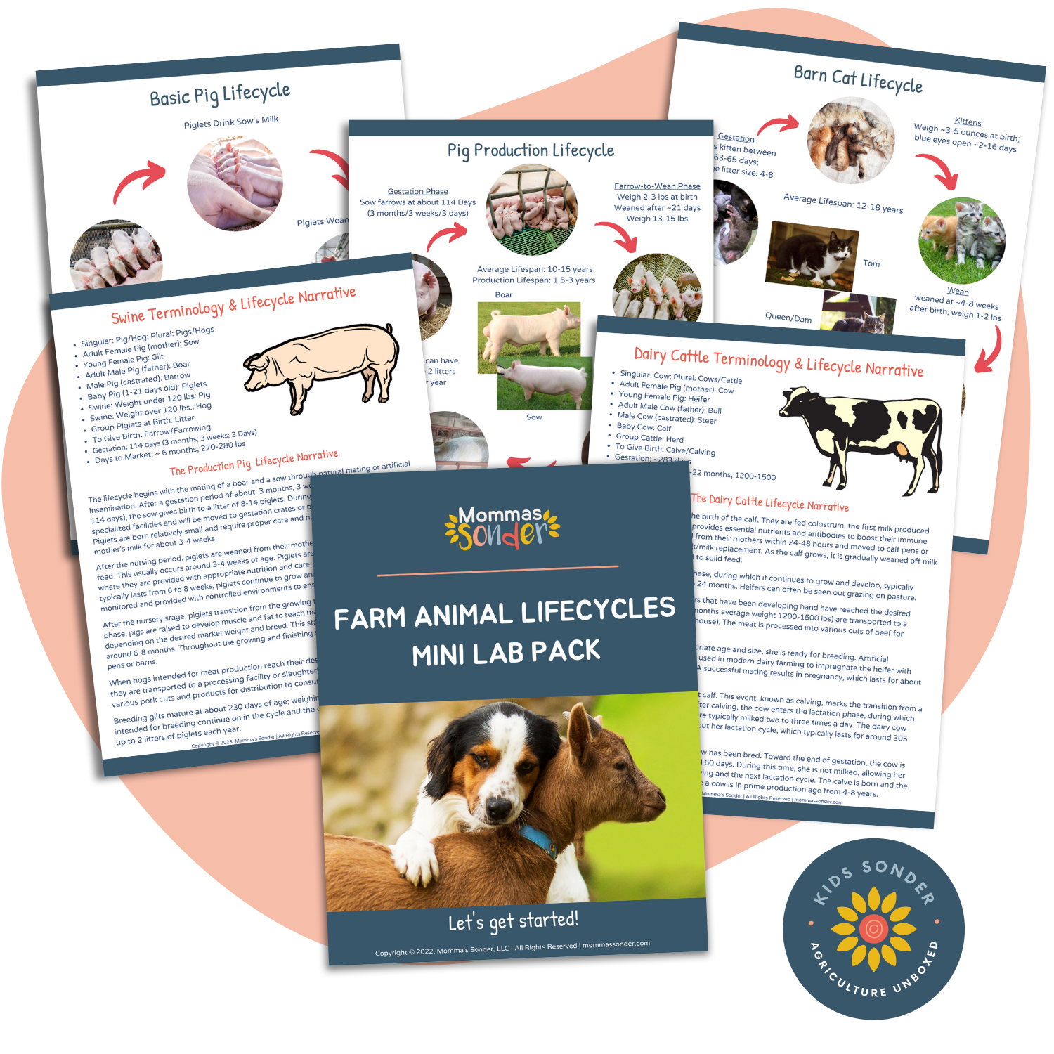 farm animal livestock lifecycle lesson guide