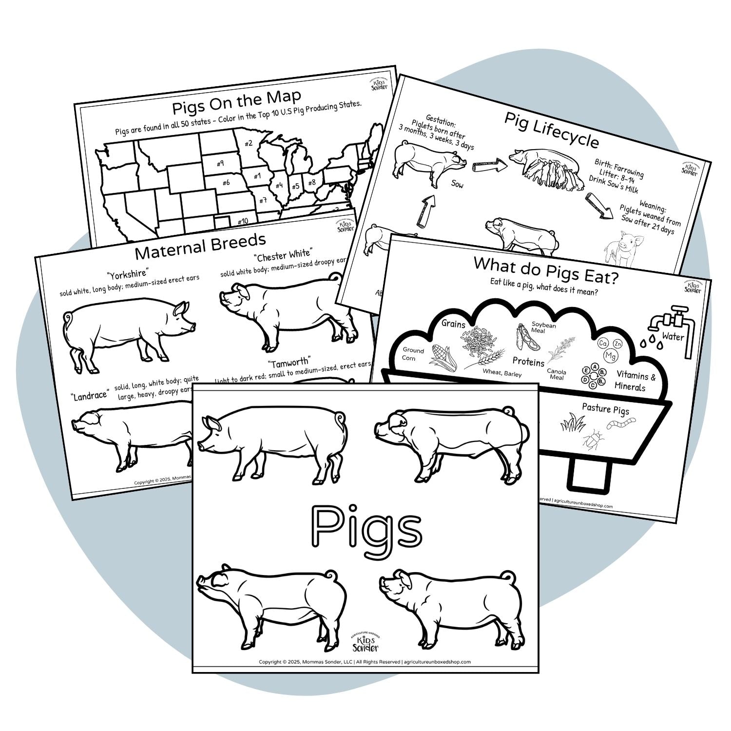 Swine coloring pages