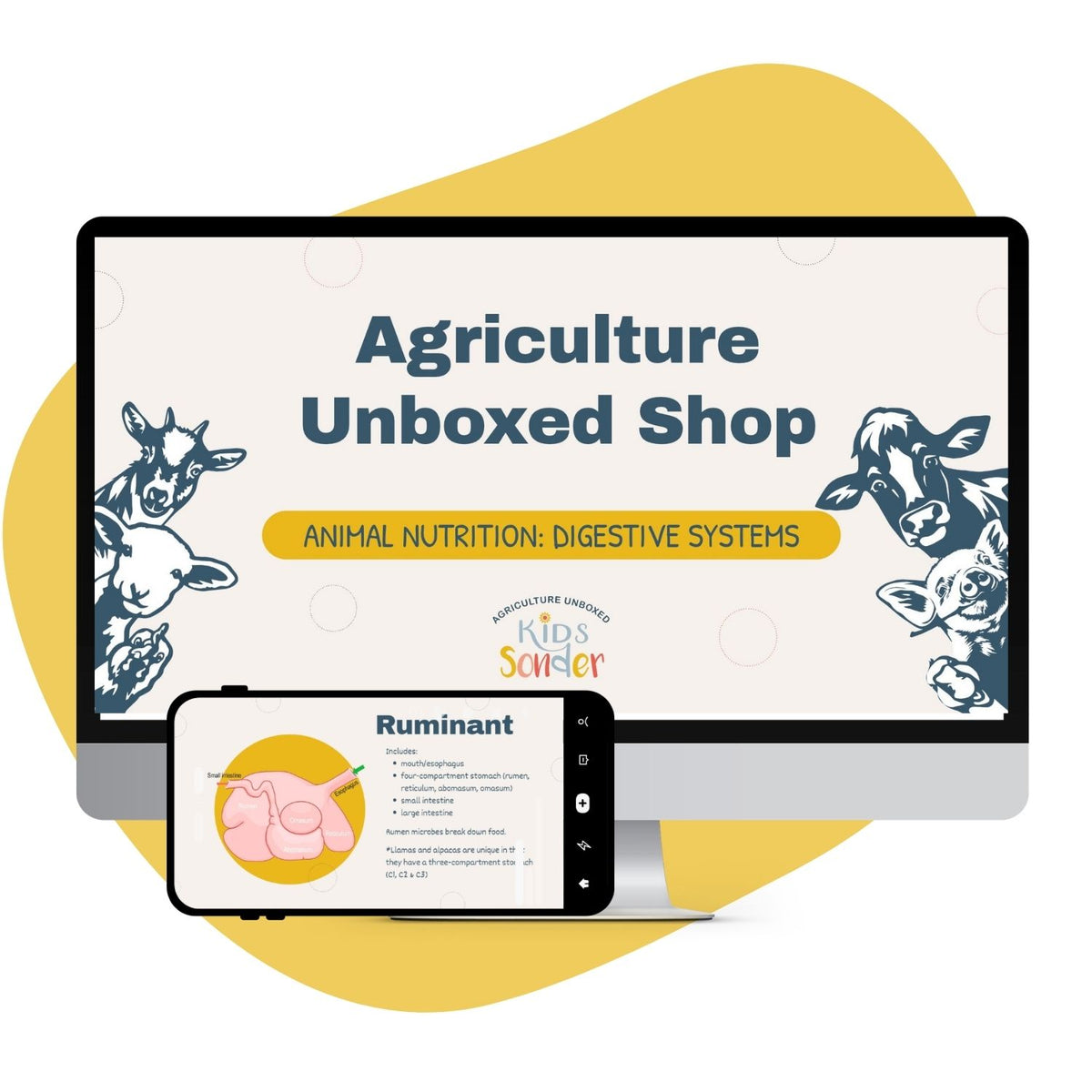 Video Lesson: Animal Nutrition - Digestive Systems