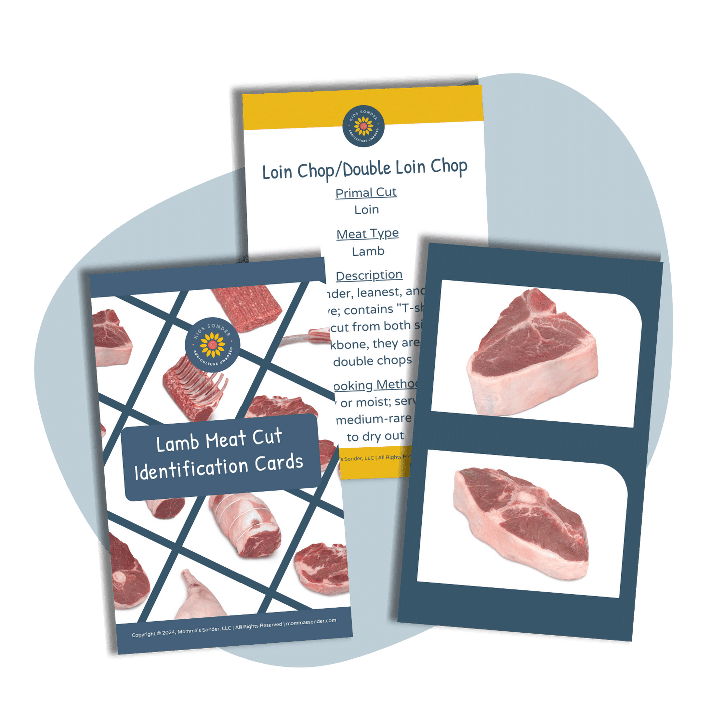 lamb meat cut identification flashcards loin