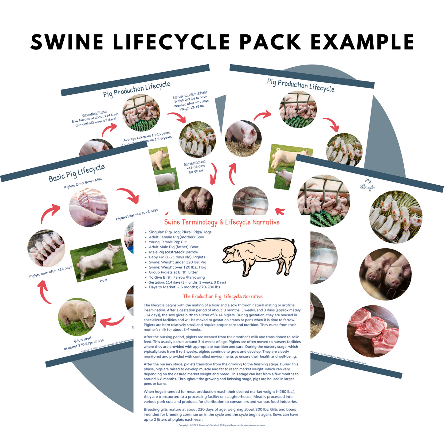farm animal livestock lifecycle lesson guide