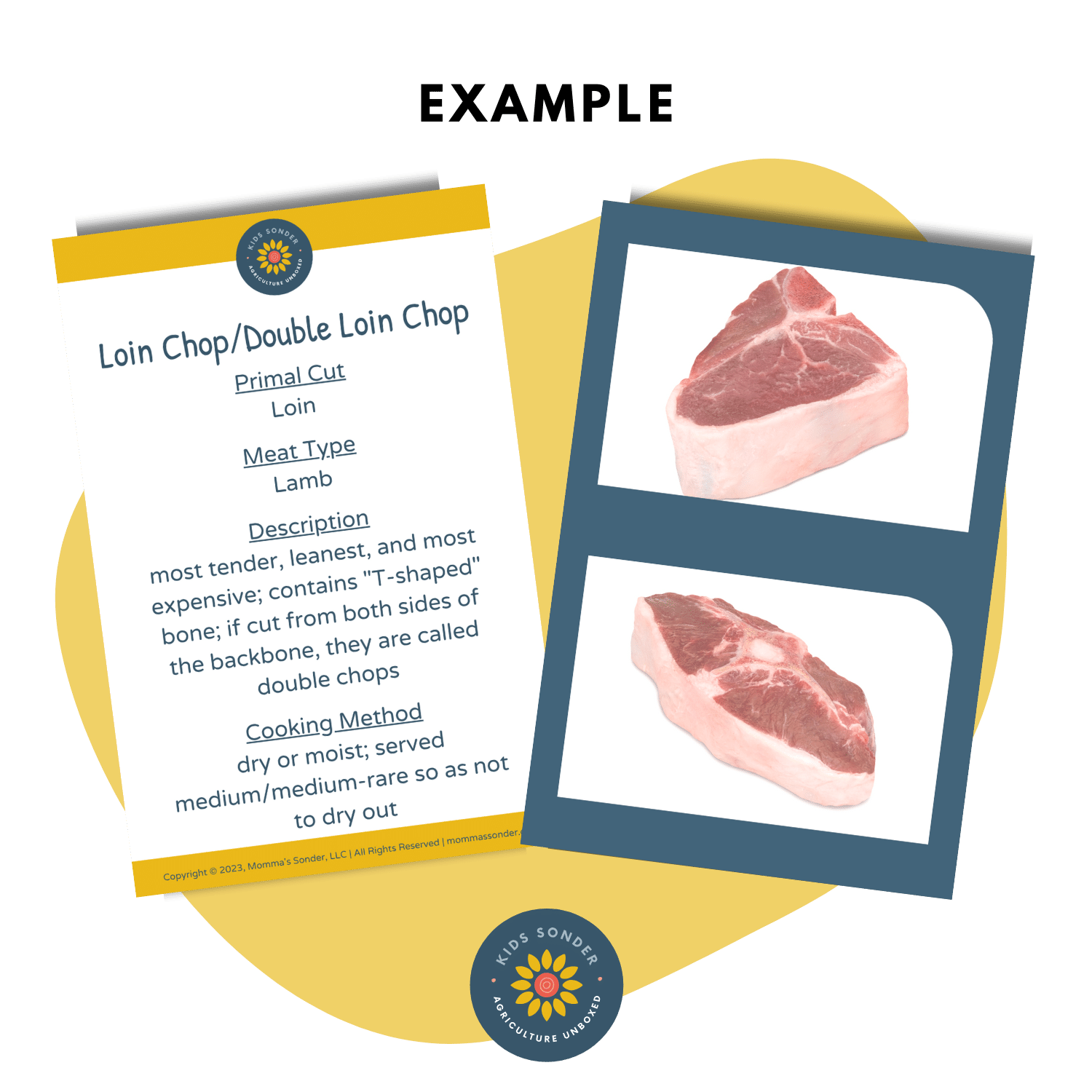 lamb meat cut identification flashcards loin