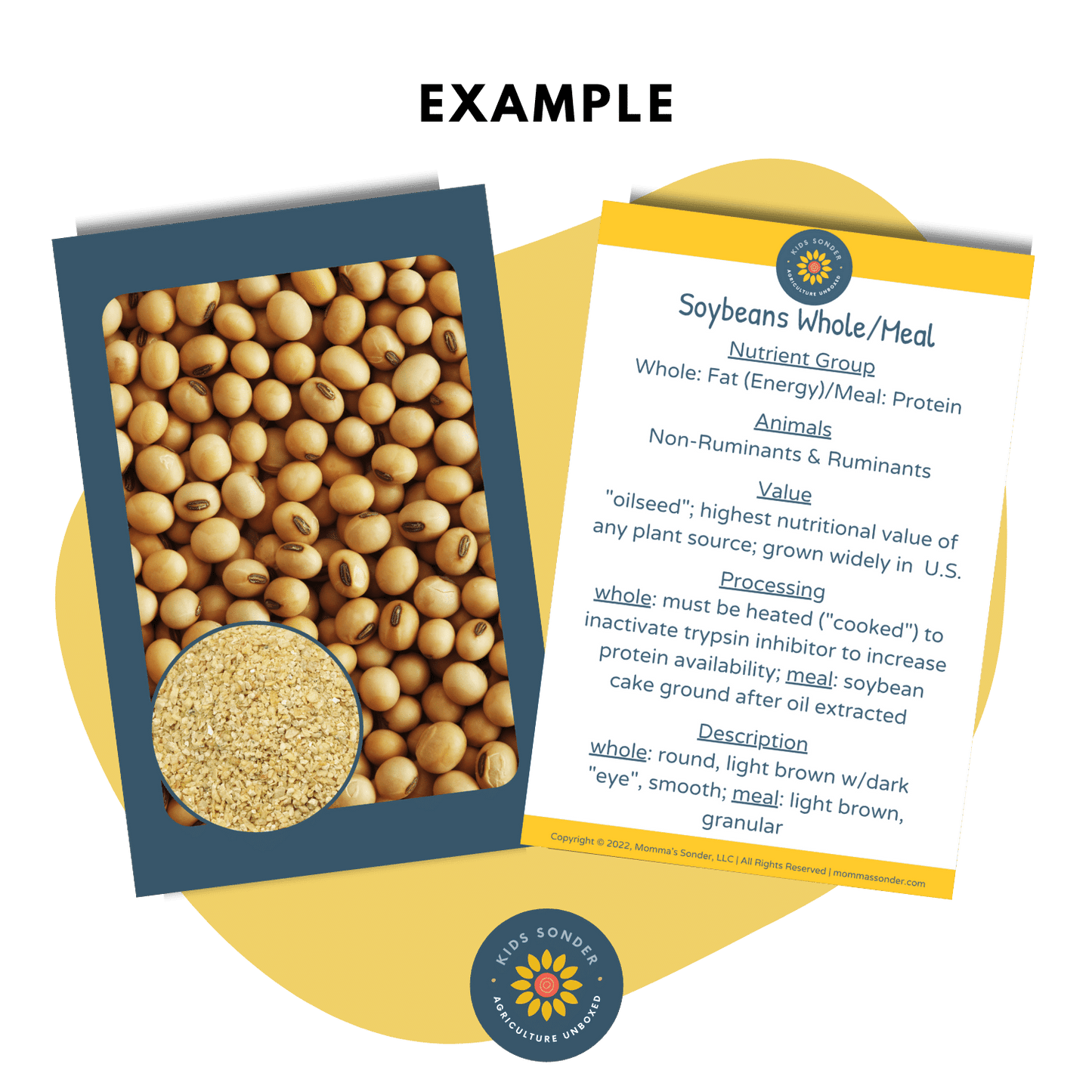 livestock feedstuff identification flashcards soybeans