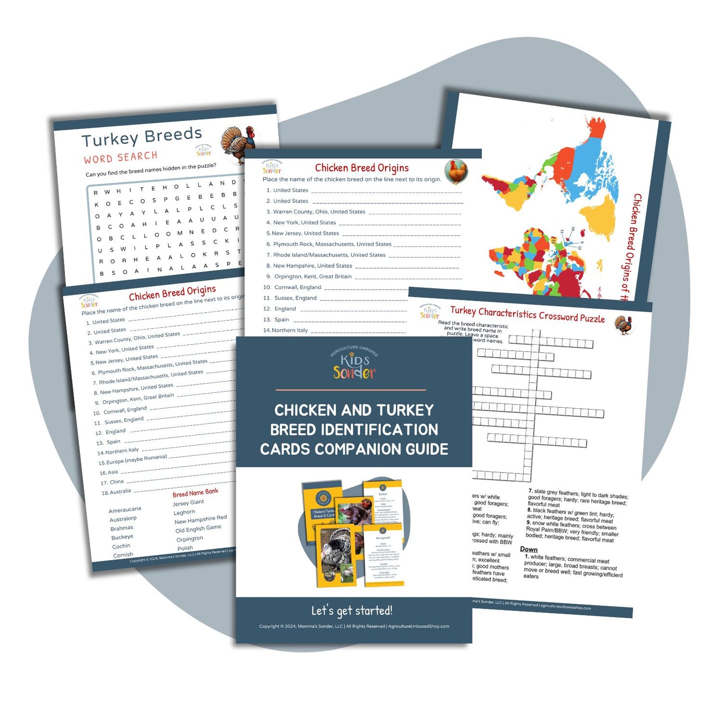 Chicken turkey breed identification activity pages