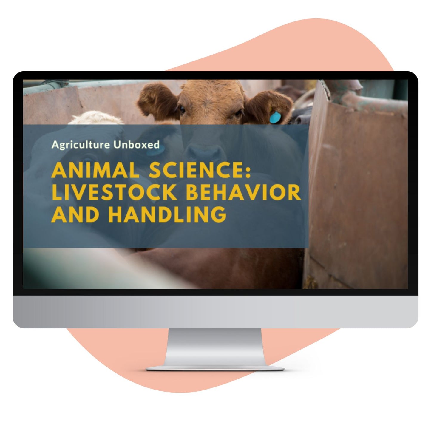 Course: Animal Science: Livestock Behavior and Handling