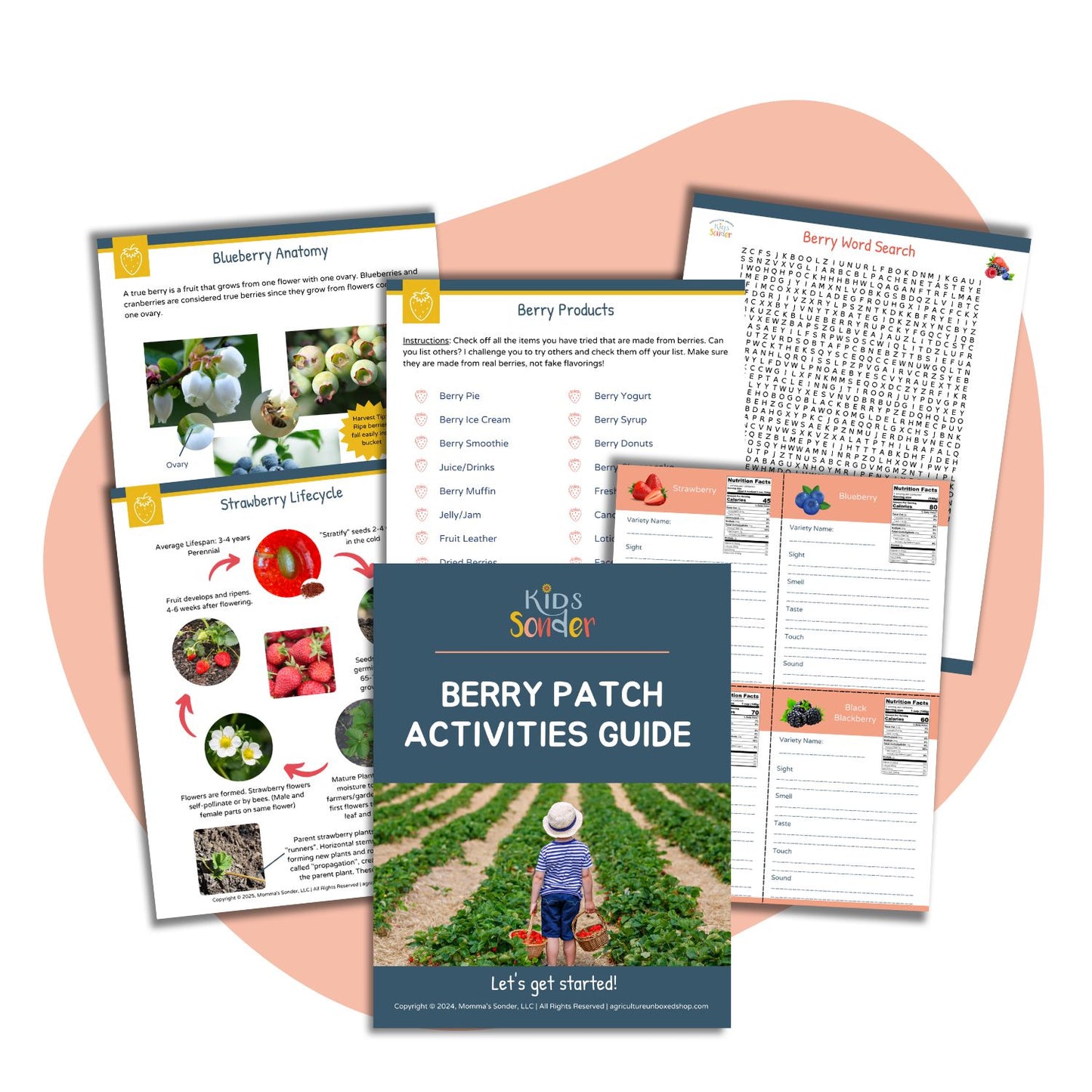Berry Patch Activity Pack and Guide (Printable PDF)