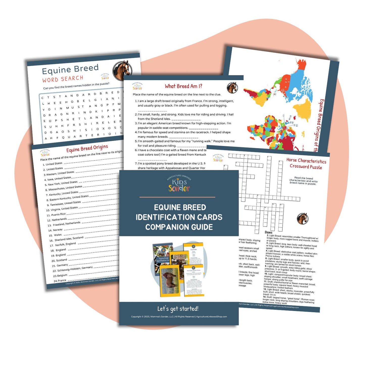 Equine Breed Identification Cards Companion Guide (Printable PDF)