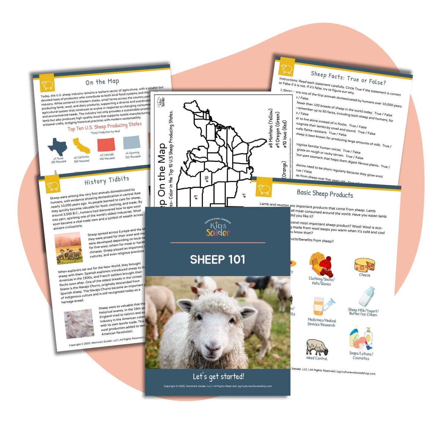 Sheep 101 (Printable PDF)