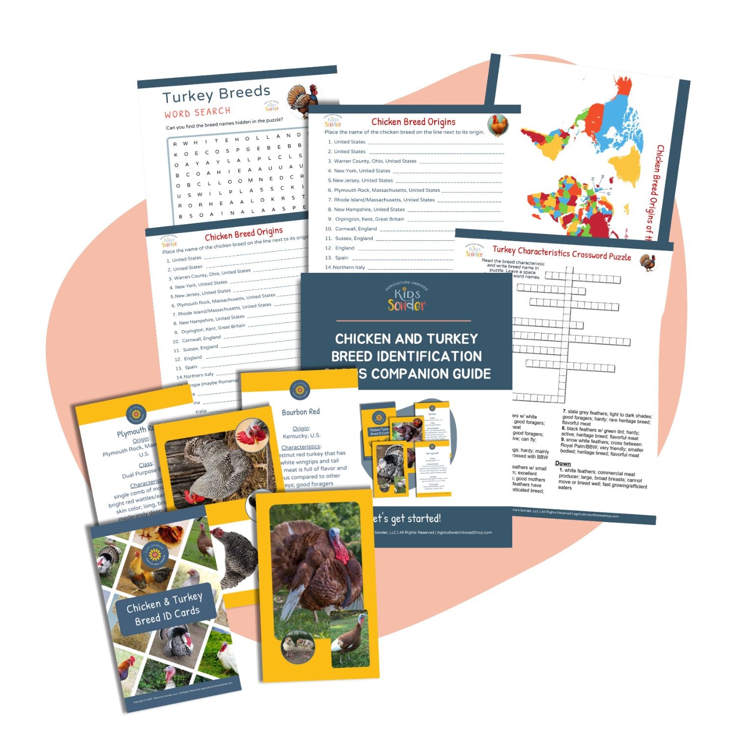 Poultry Breed Identification Learning Set – Agriculture Unboxed Shop ...