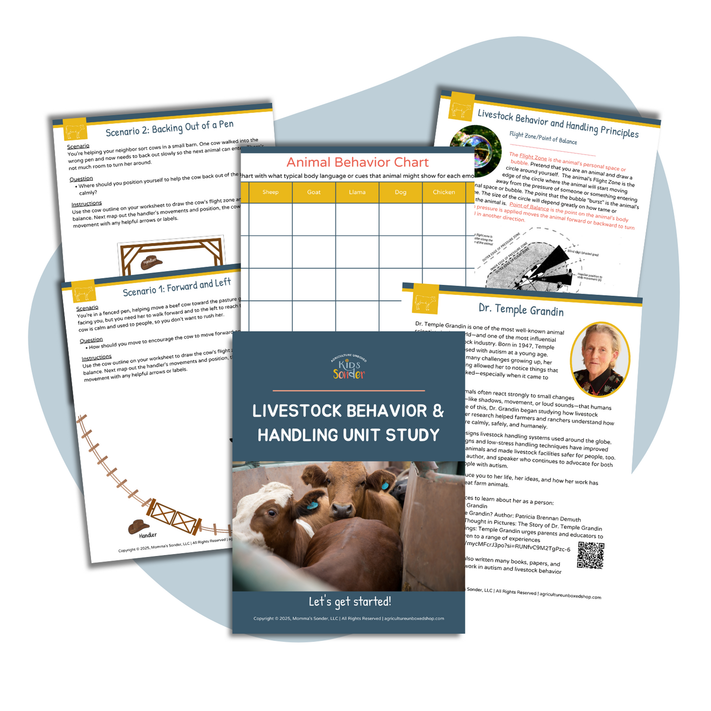 Course: Animal Science: Livestock Behavior and Handling