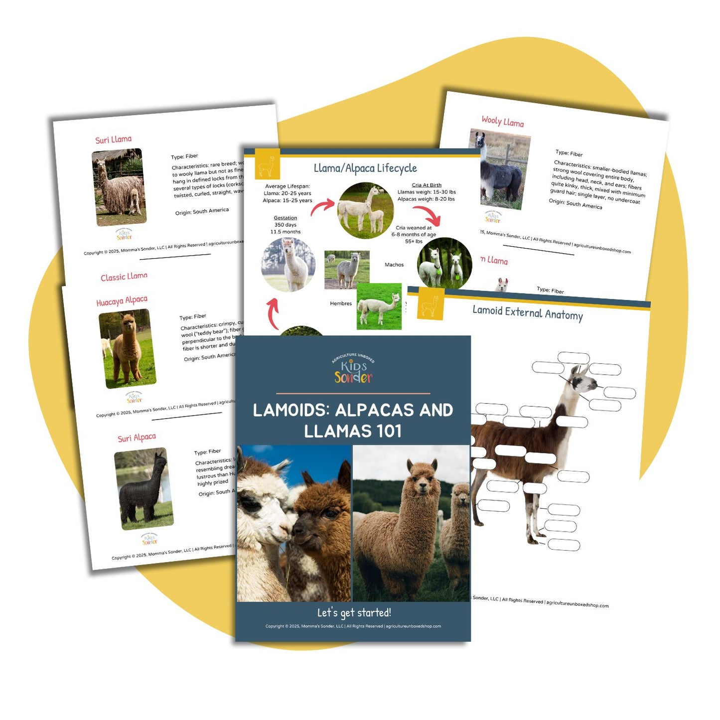 Lamoids: Alpacas and Llamas 101 (Introduction) (Printable PDF)