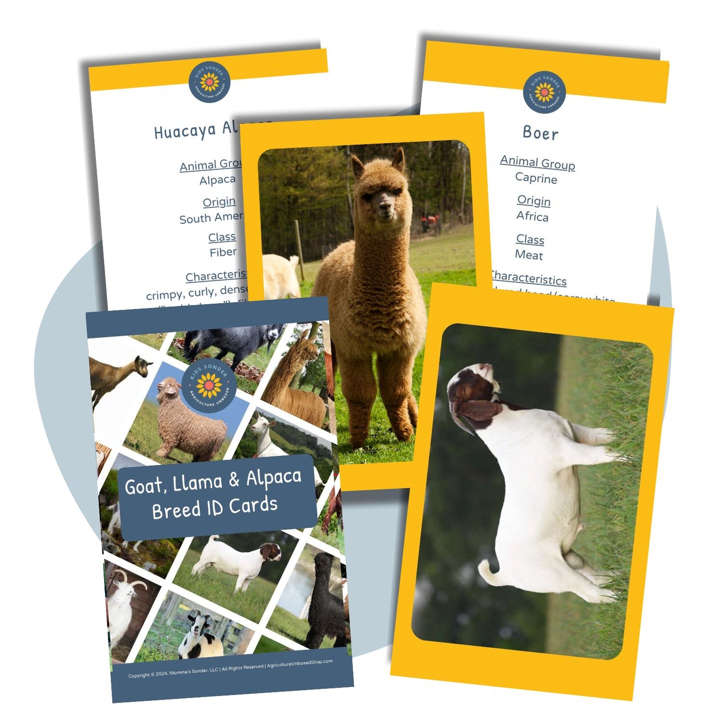 Flashcards: Goat, Alpaca and Llama Breed Identification Set