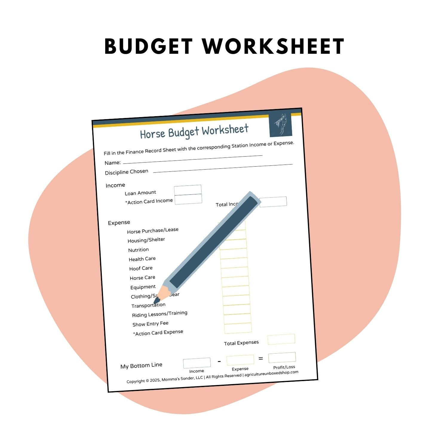horse finance and care budget worksheet