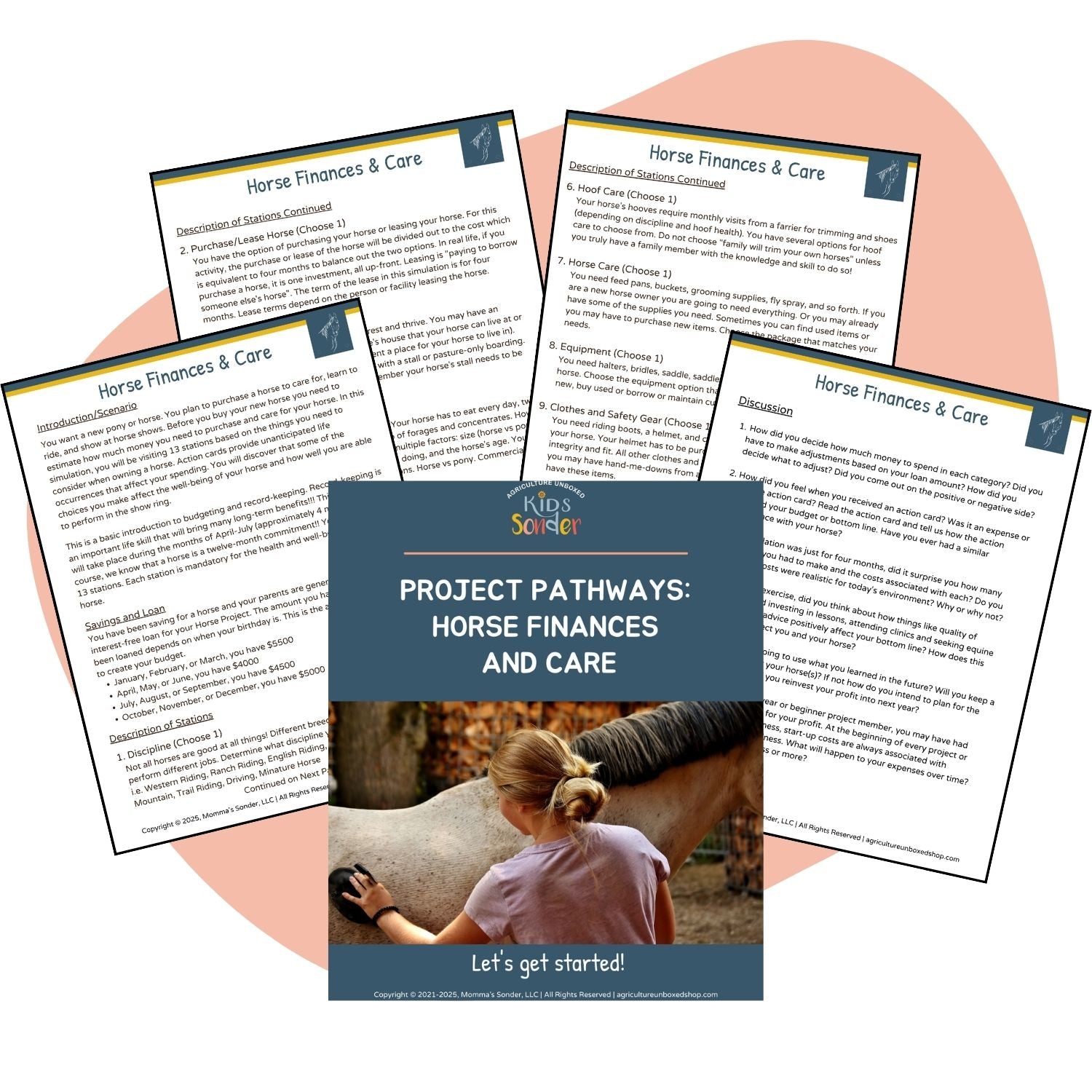 horse finance and care activity