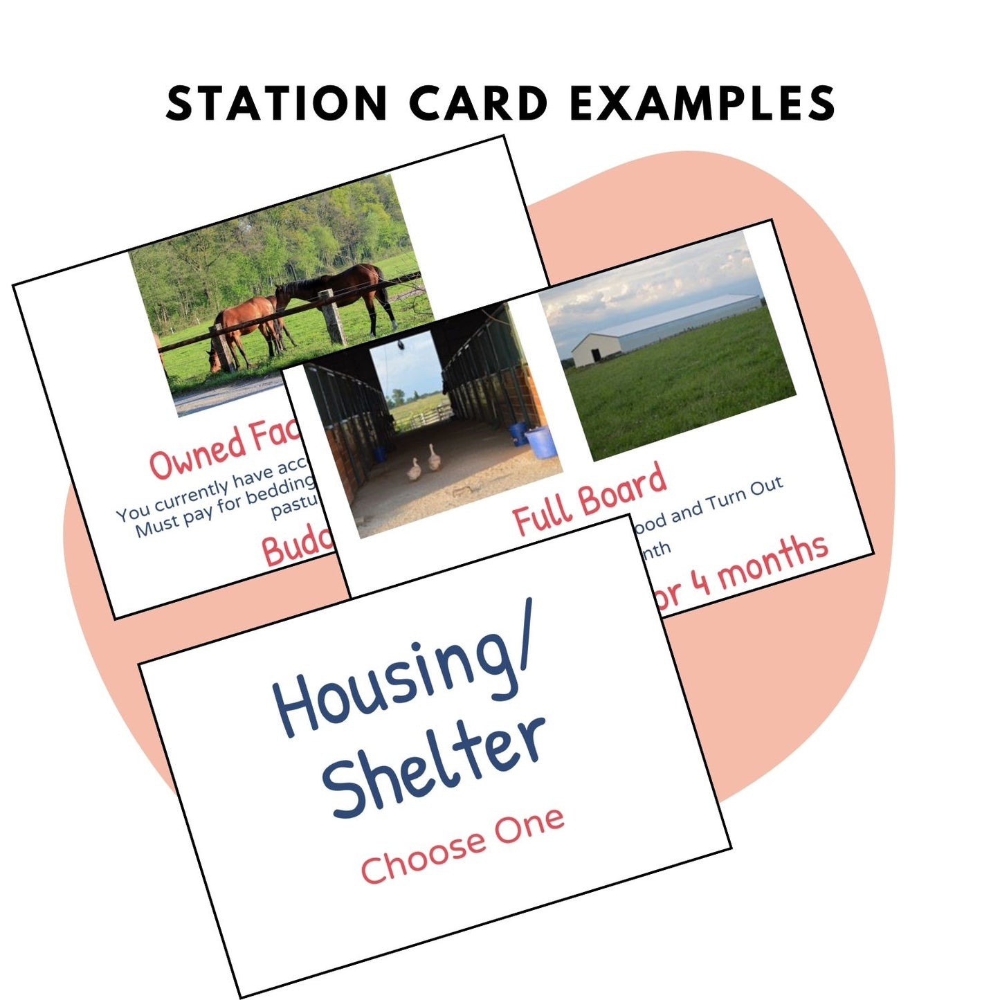 horse finance and care station activity cards