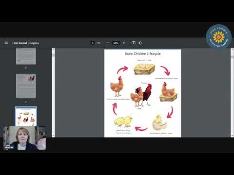 farm animal livestock lifecycle lesson guide sneack peak