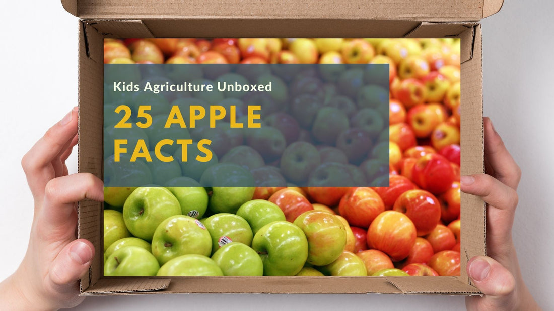 Apple Fact File 25 Amazing Apple Facts and Apple Industry Insights – Agriculture ...