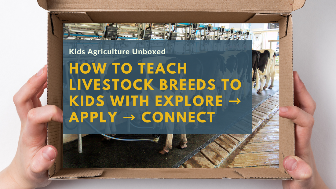 How to Teach Livestock Breeds to Kids With Explore → Apply → Connect