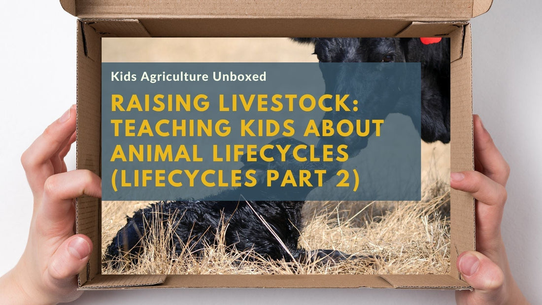 Raising Livestock: Teaching Kids About Animal Lifecycles (Lifecycles Part 2)