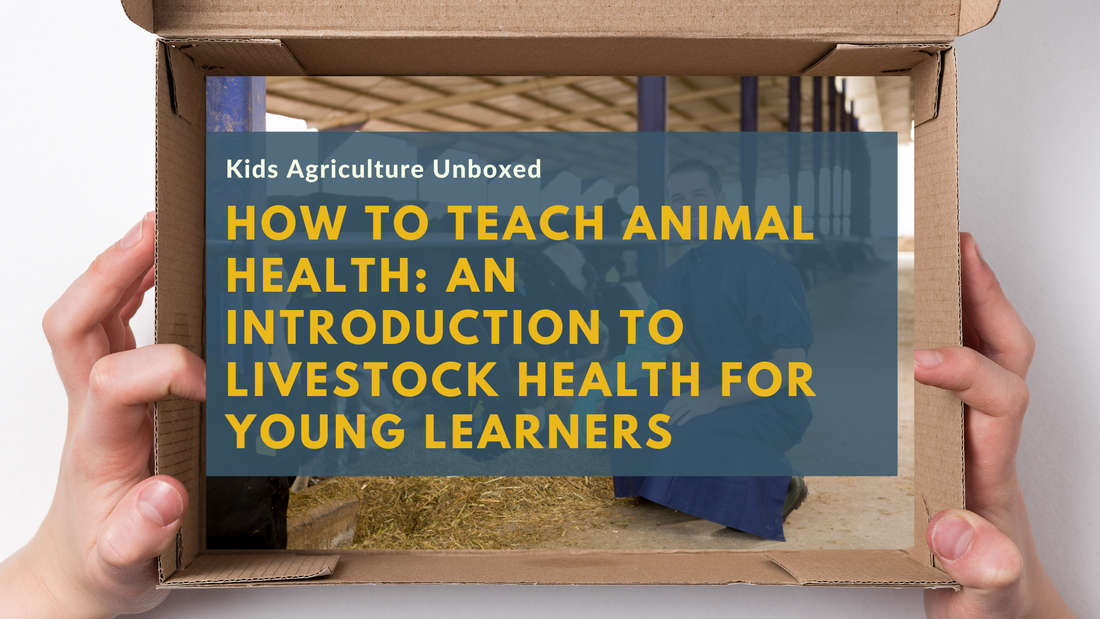 How to Teach Animal Health: An Introduction to Livestock Health for Young Learners