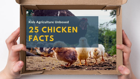 25 Fascinating Chicken Facts and U.S. Chicken Industry Facts