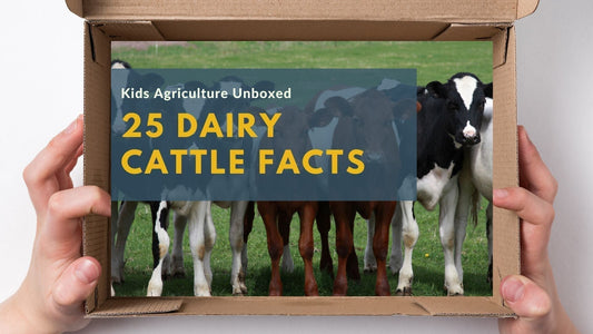 25 Fun Facts About Dairy Cattle and the U.S. Dairy Industry
