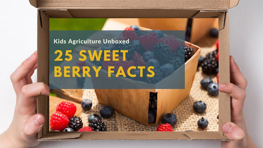 25 Berry Facts to Sweeten Your Knowledge of U.S. Agriculture