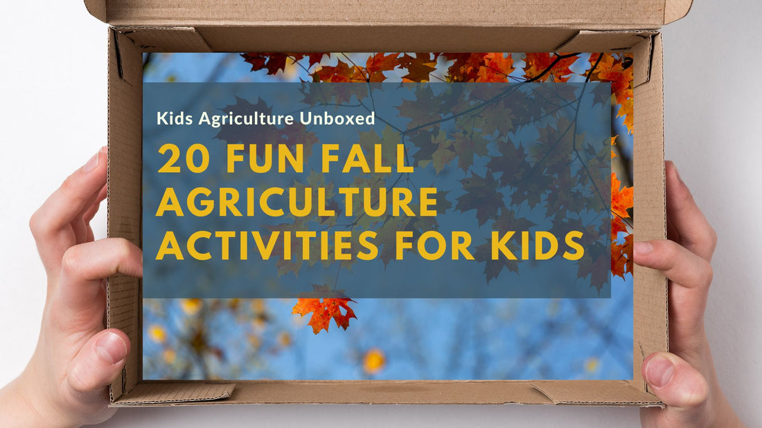 20 Fun and Educational Fall Activities for Kids and Families