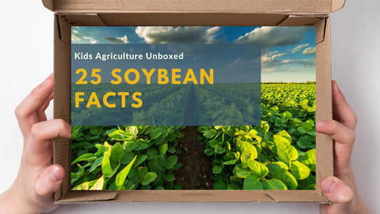 25 Fun and Educational Soybean Facts
