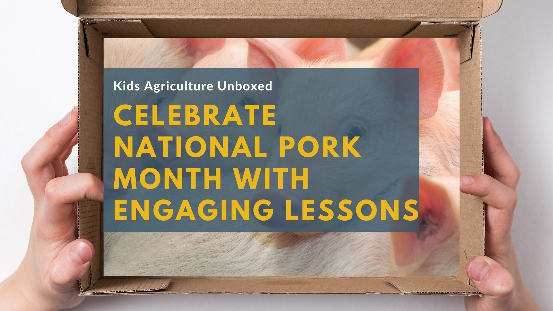 Pigs Month Celebrate National Pork Month: Hands-On Ways to Teach Kids About Pigs ...