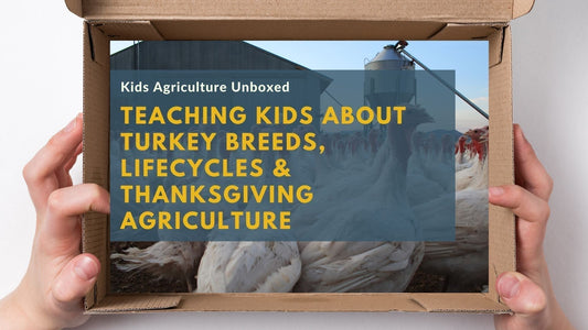 Teaching Kids About Turkey Breeds, Lifecycles & Thanksgiving Agriculture