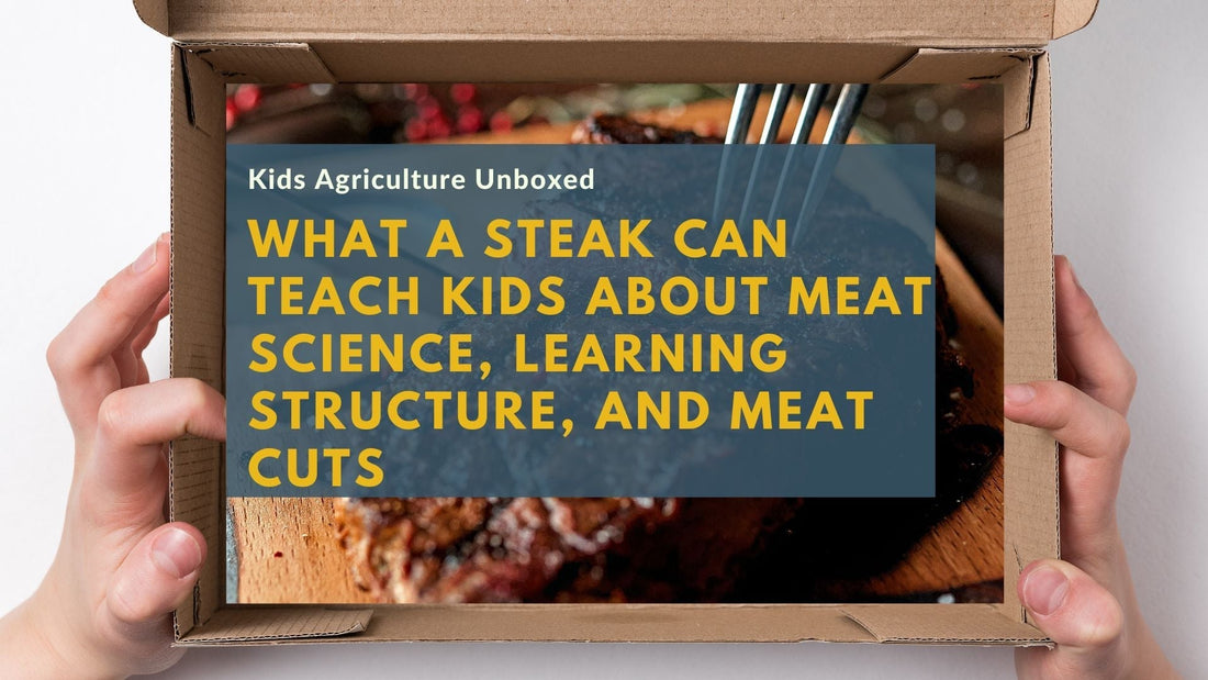 What a Steak Can Teach Kids About Meat Science, Learning Structure, and Meat Cuts