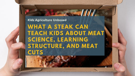 What a Steak Can Teach Kids About Meat Science, Learning Structure, and Meat Cuts