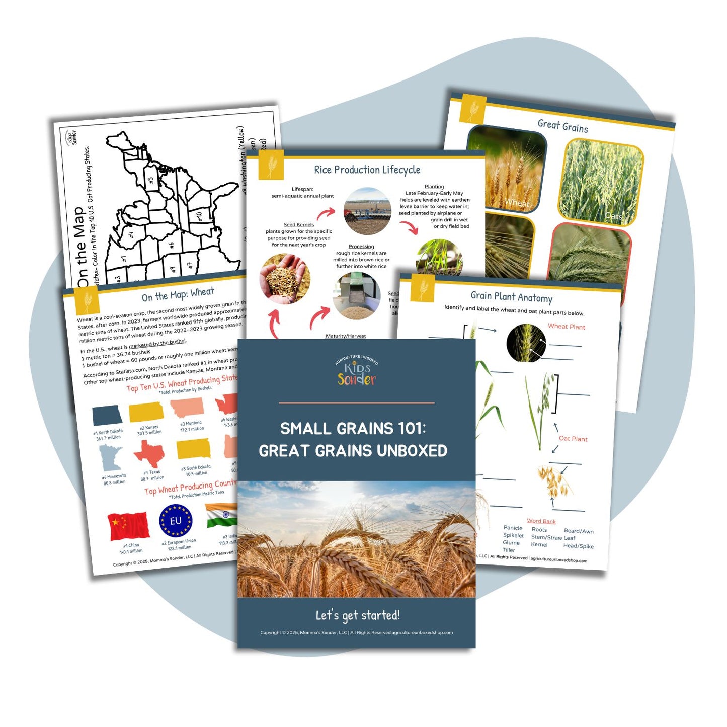 Small Grains 101: Great Grains Unboxed (Printable PDF)