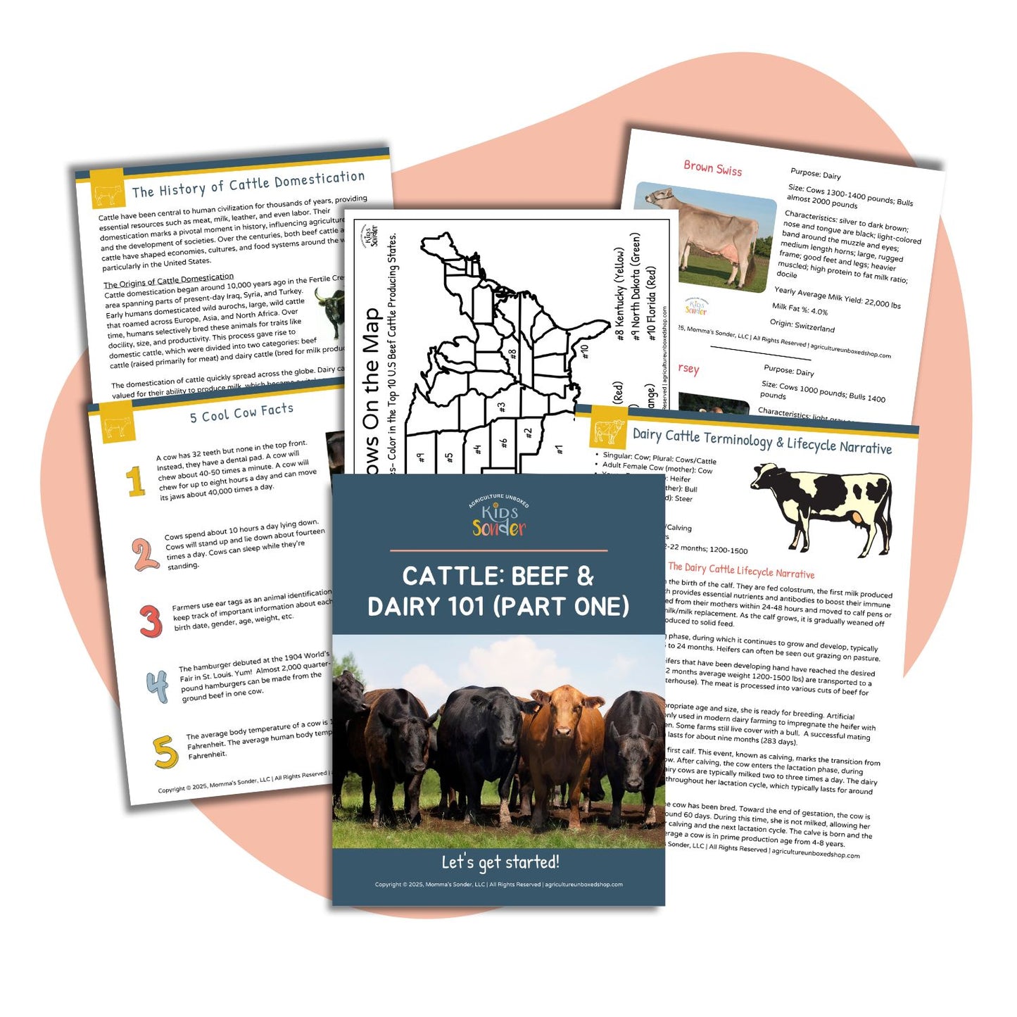 Cattle: Beef & Dairy 101 (Printable PDF)