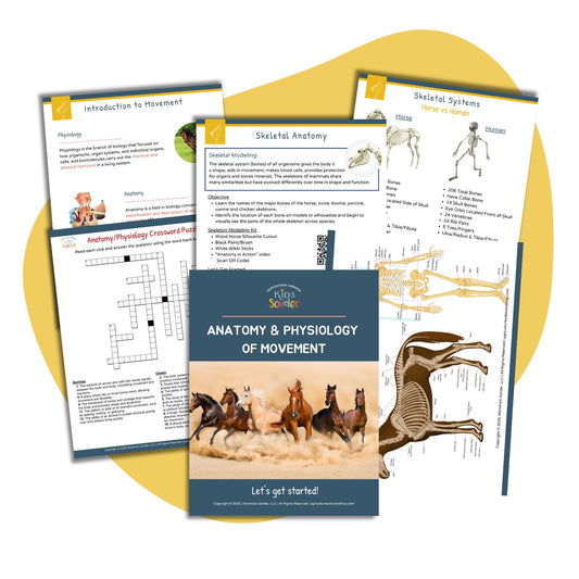 Animal Science: Anatomy & Physiology of Movement (Printable PDF)