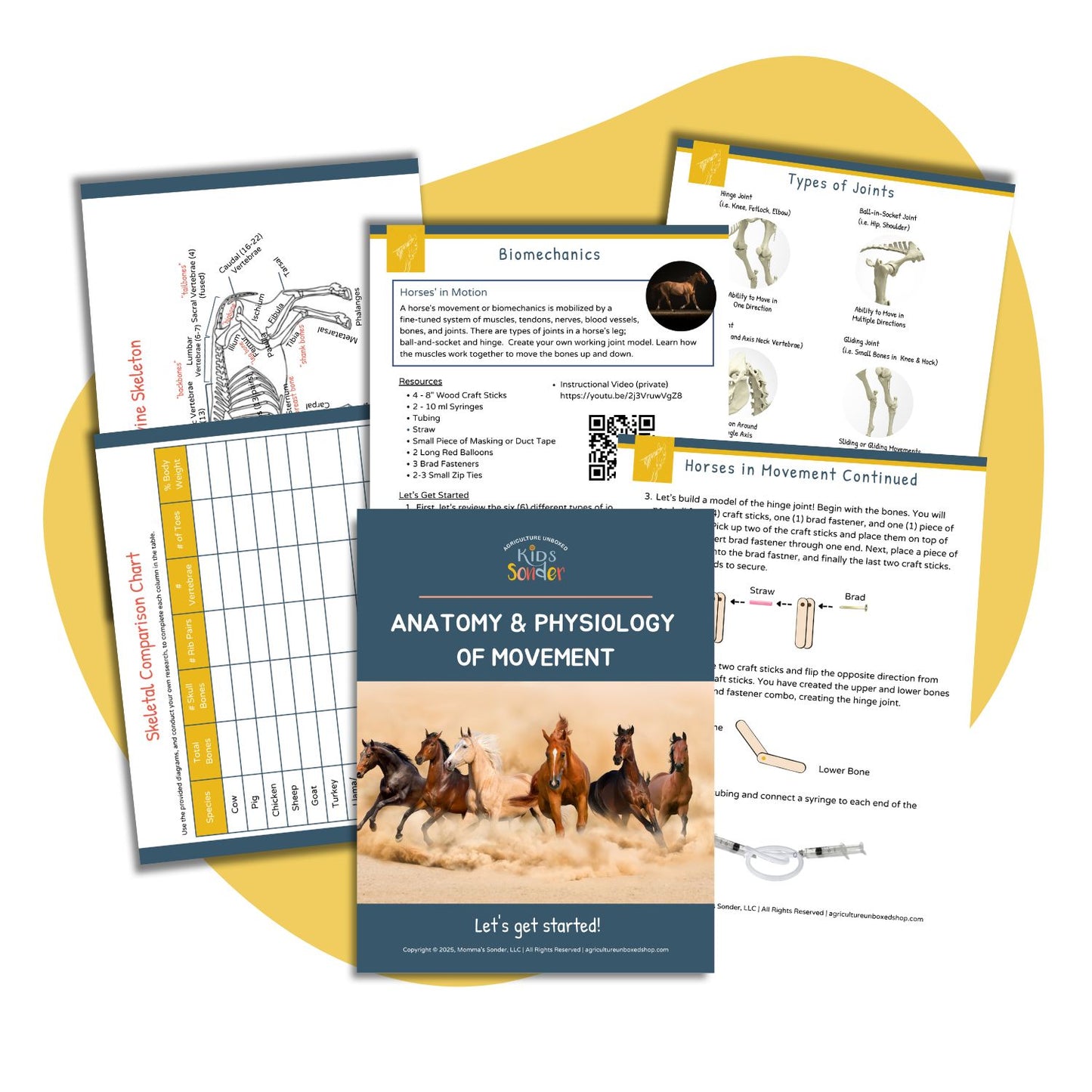 Animal Science: Anatomy & Physiology of Movement (Printable PDF)