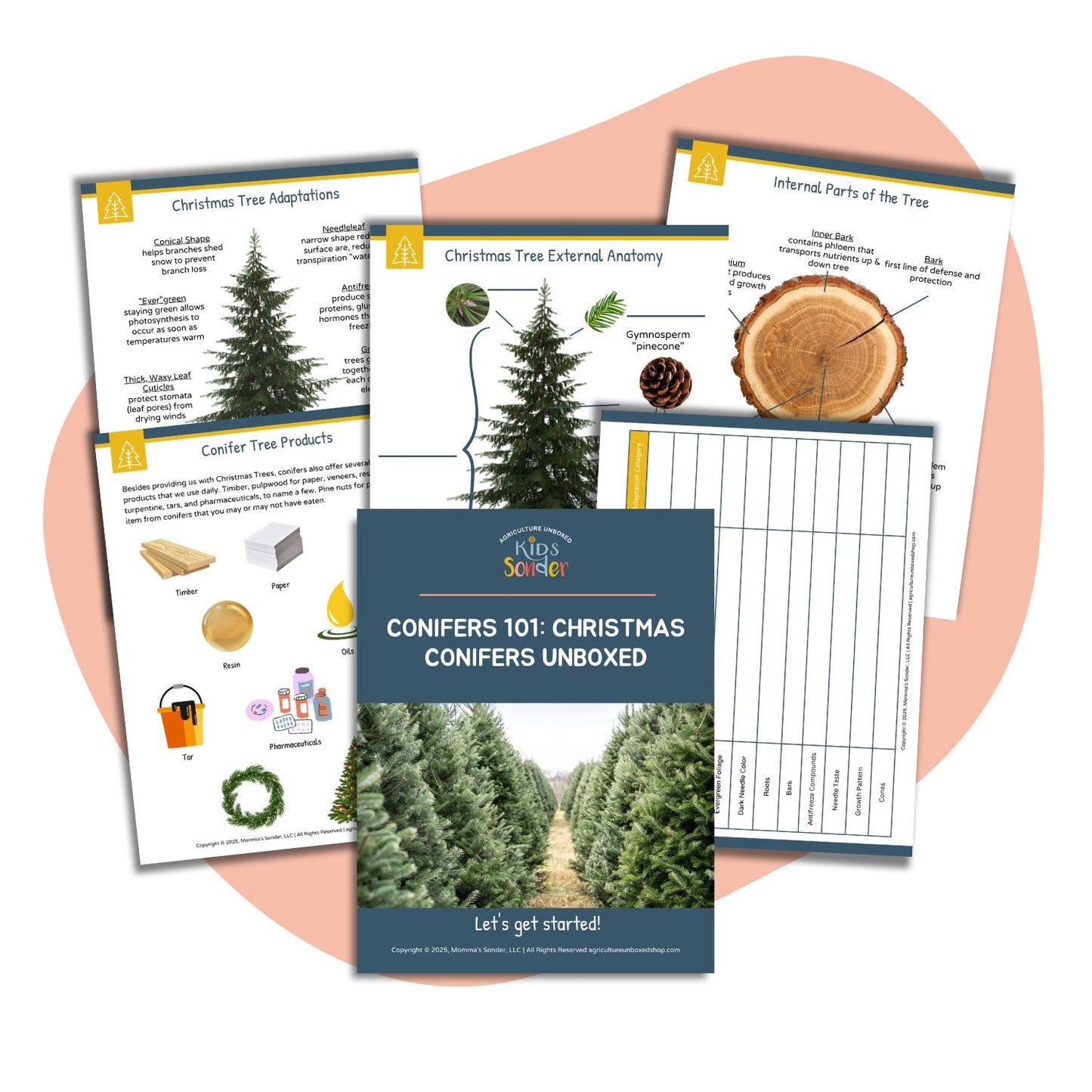 Conifers 101: Christmas Conifers Unboxed (Printable PDF)
