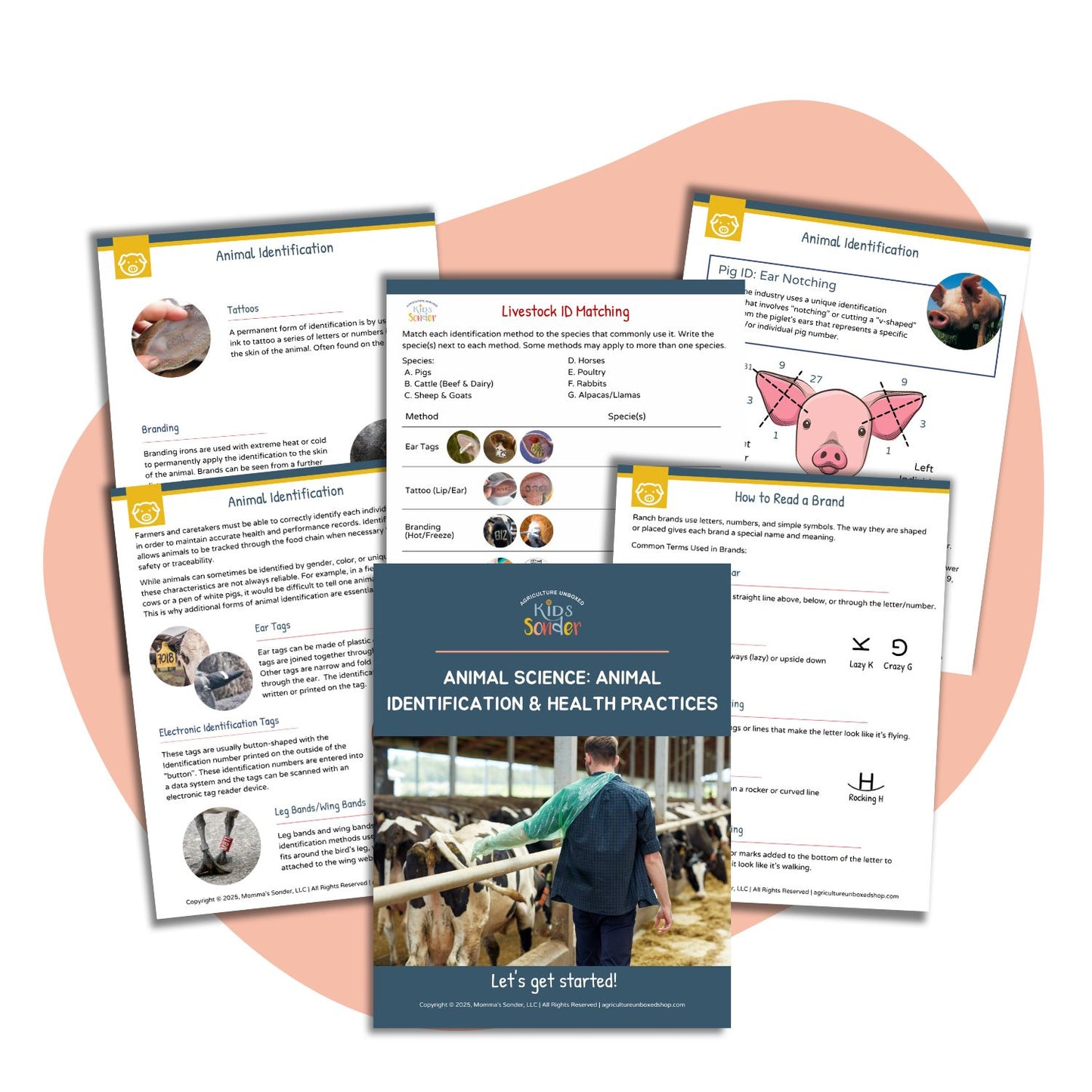 Animal Science: Animal Identification and Health Practices (Printable PDF)